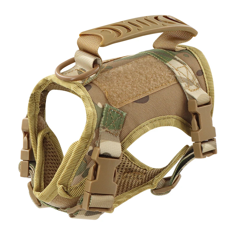 Gear Up for the Bold: Why "Adventure Cats" Need a Tactical Escape-Proof Vest