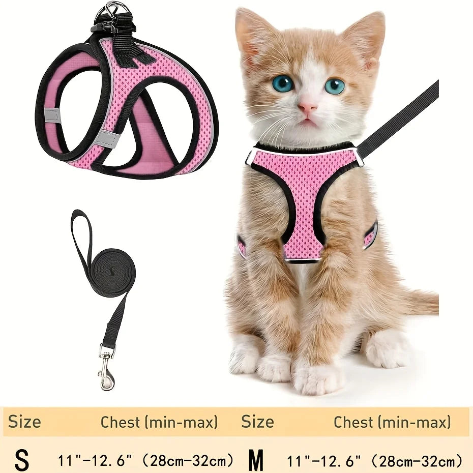 Curiosity Without the Fear: The Houdini-Proof Harness for Your Kitten’s First Great Adventure