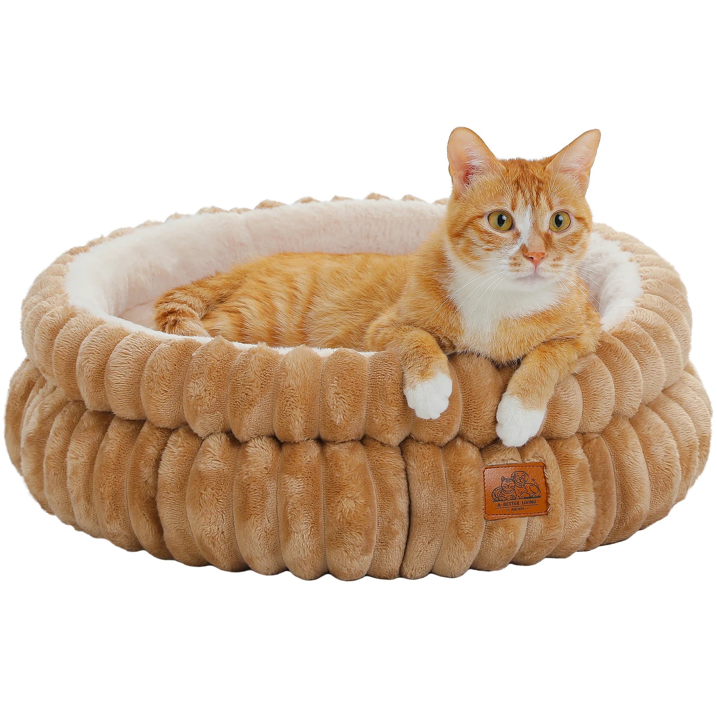 Deep REM Starts with a Hug: The "Barkitecture" Nest for the Modern Cuddle-Bug