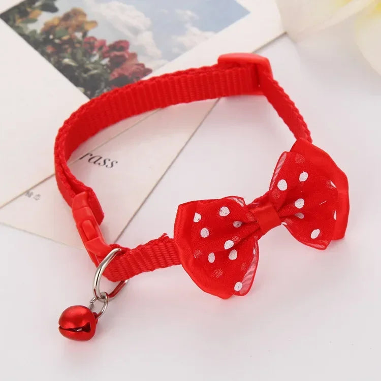 Adjustable Cat & Kitten Collar with Bell
