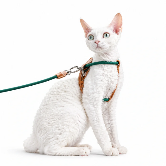 Unlock your indoor cat's natural curiosity with a featherlight, elegant harness that feels like a gentle hug—granting them the freedom to explore while giving you absolute peace of mind.