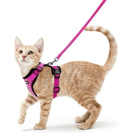 Cat Harnesses & Leashes