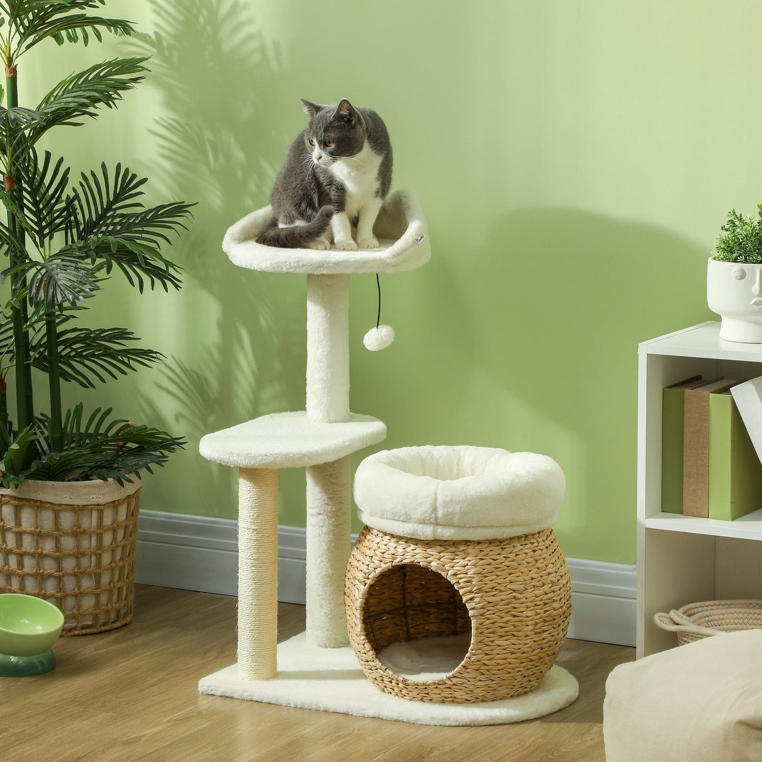 Cat Trees & Perches | Floor-to-Ceiling Towers & Modern Wood Condos