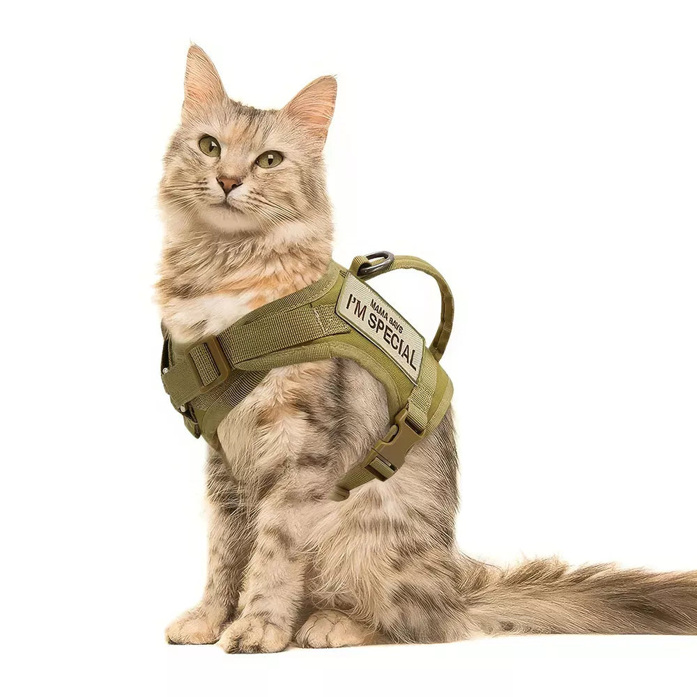Cat Harnesses & Leashes