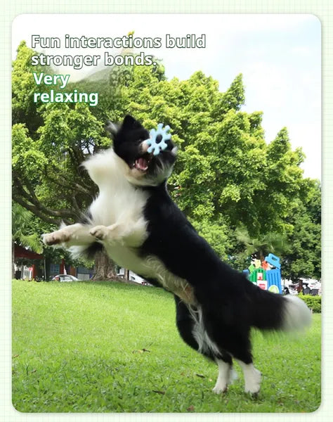 Interactive Flywheel Dog Frisbee | Durable Fetch Toy for Bonding