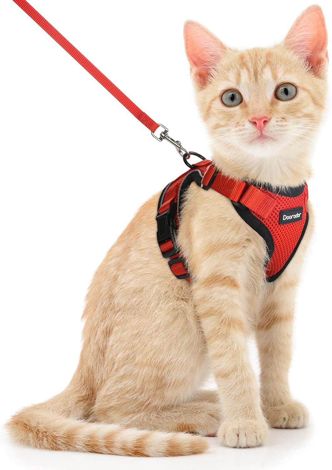 Escape Proof Cat Vest Harness & Leash Set | Soft Adjustable Walking Jacket