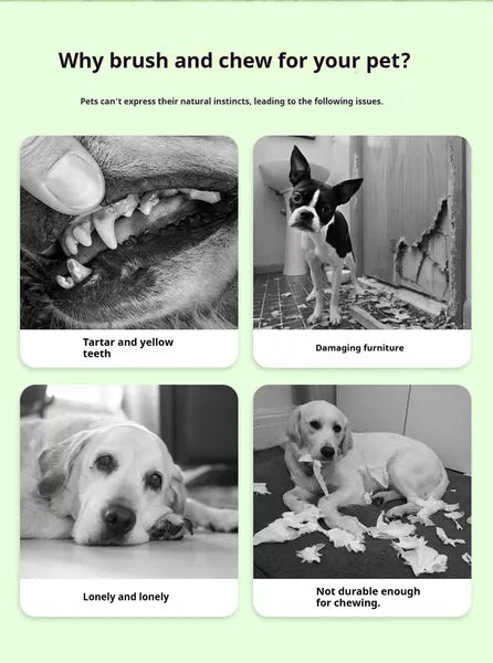 Sausage Dog Chew Toy | Dental Teeth Cleaning Brush & Massager