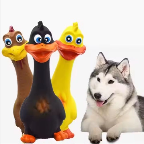 Latex Squeaky Duck Dog Toy | Cute Interactive Chew for Puppies