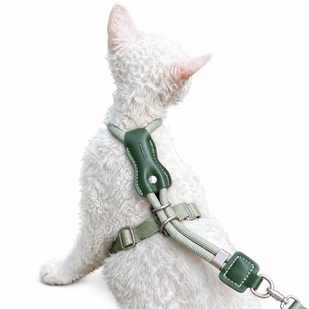 Unlock your indoor cat's natural curiosity with a whisper-light, minimalist harness that fuses absolute escape-proof security with breathtaking modern style.