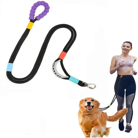 Shock Absorbing Bungee Leash | For Corgi, Shiba Inu & Border Collie