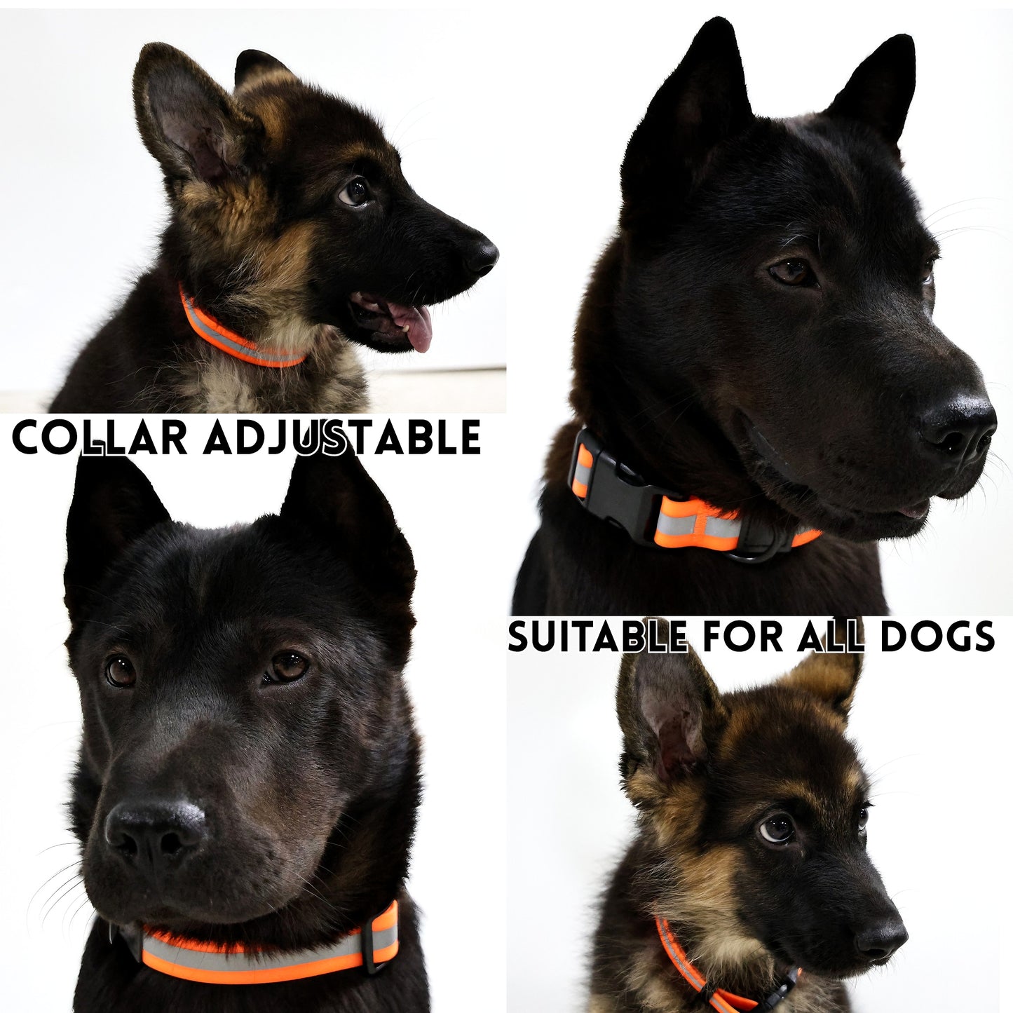 Reflective Dog Leash & Collar Set | High Visibility Night Safety Gear
