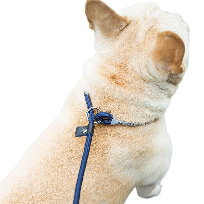 Heavy Duty Dog Slip Lead | Rope Training Leash (No Collar Needed)