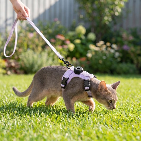Empower your feline's natural curiosity with unwavering dual-layer safety, ensuring every outdoor exploration feels entirely secure and featherlight.