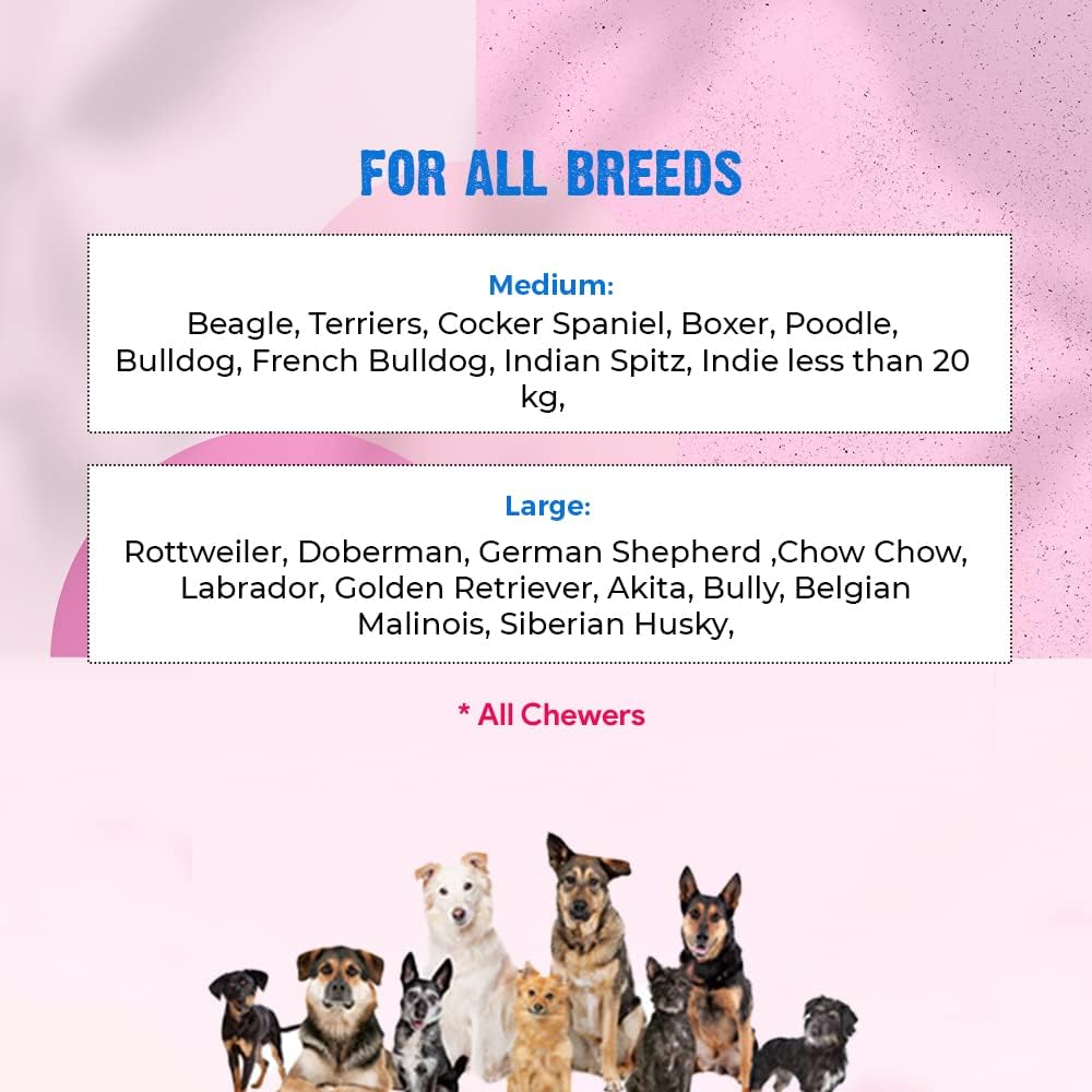 Crazy Monster Squeaky Dog Toy | Durable Rubber Chew & Fetch Fun