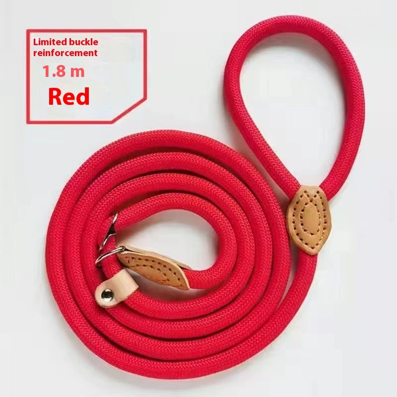 Heavy Duty Dog Slip Lead | Rope Training Leash (No Collar Needed)