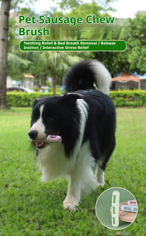 Sausage Dog Chew Toy | Dental Teeth Cleaning Brush & Massager