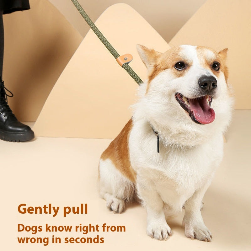 Heavy Duty Dog Slip Lead | Rope Training Leash (No Collar Needed)