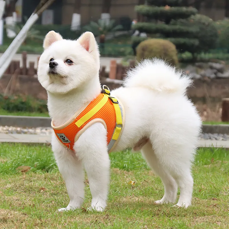 Safe Exploration Starts Here: The Breathable, Escape-Proof Nest for Your Adventure Cat