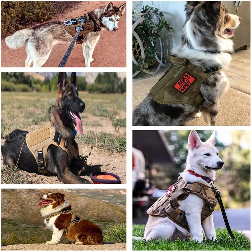 Camouflage Dog Harness & Leash Set | Luxury Nylon Walking Gear