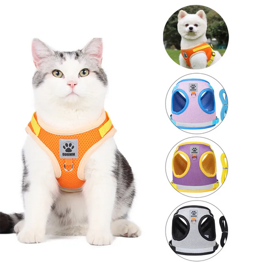 Safe Exploration Starts Here: The Breathable, Escape-Proof Nest for Your Adventure Cat