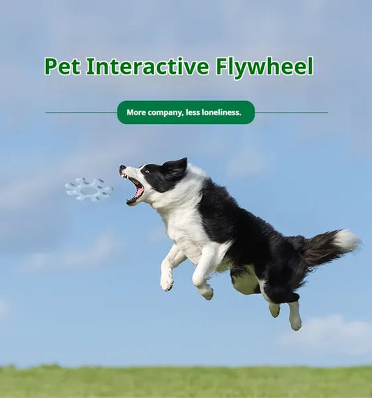 Interactive Flywheel Dog Frisbee | Durable Fetch Toy for Bonding