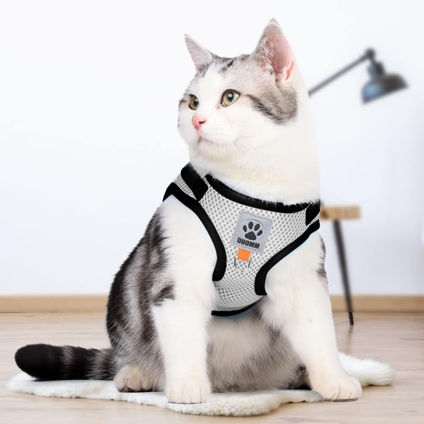 Turn backyard anxiety into boundless, safe exploration. An ultra-breathable, escape-proof sanctuary that embraces your cat in total comfort while giving you unwavering control during every adventure.