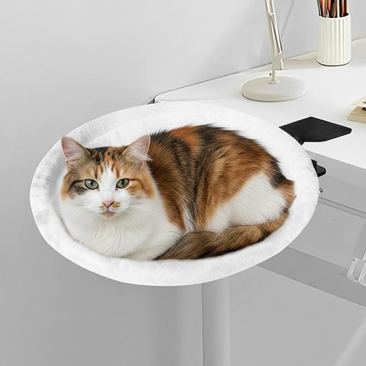 Reclaim your workspace and deepen your bond with a floating sanctuary that keeps your feline co-worker close, but comfortably off your keyboard.