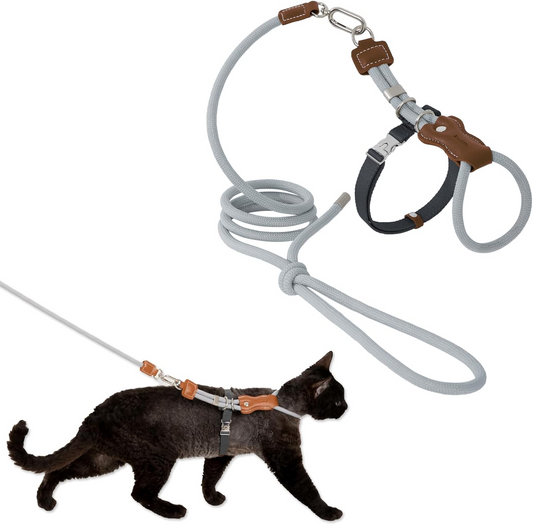 Unlock your indoor cat's natural curiosity with a whisper-light, minimalist harness that fuses absolute escape-proof security with breathtaking modern style.