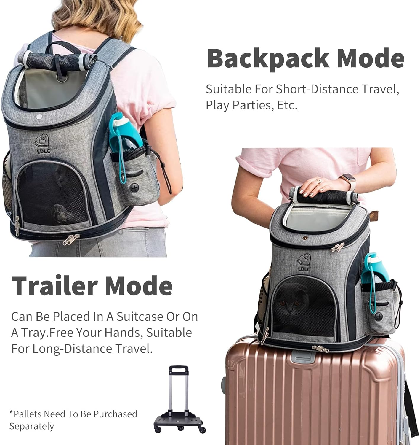 Ride, explore, and commute with total confidence—giving your small companion a breezy, shatter-proof sanctuary closest to your heart.