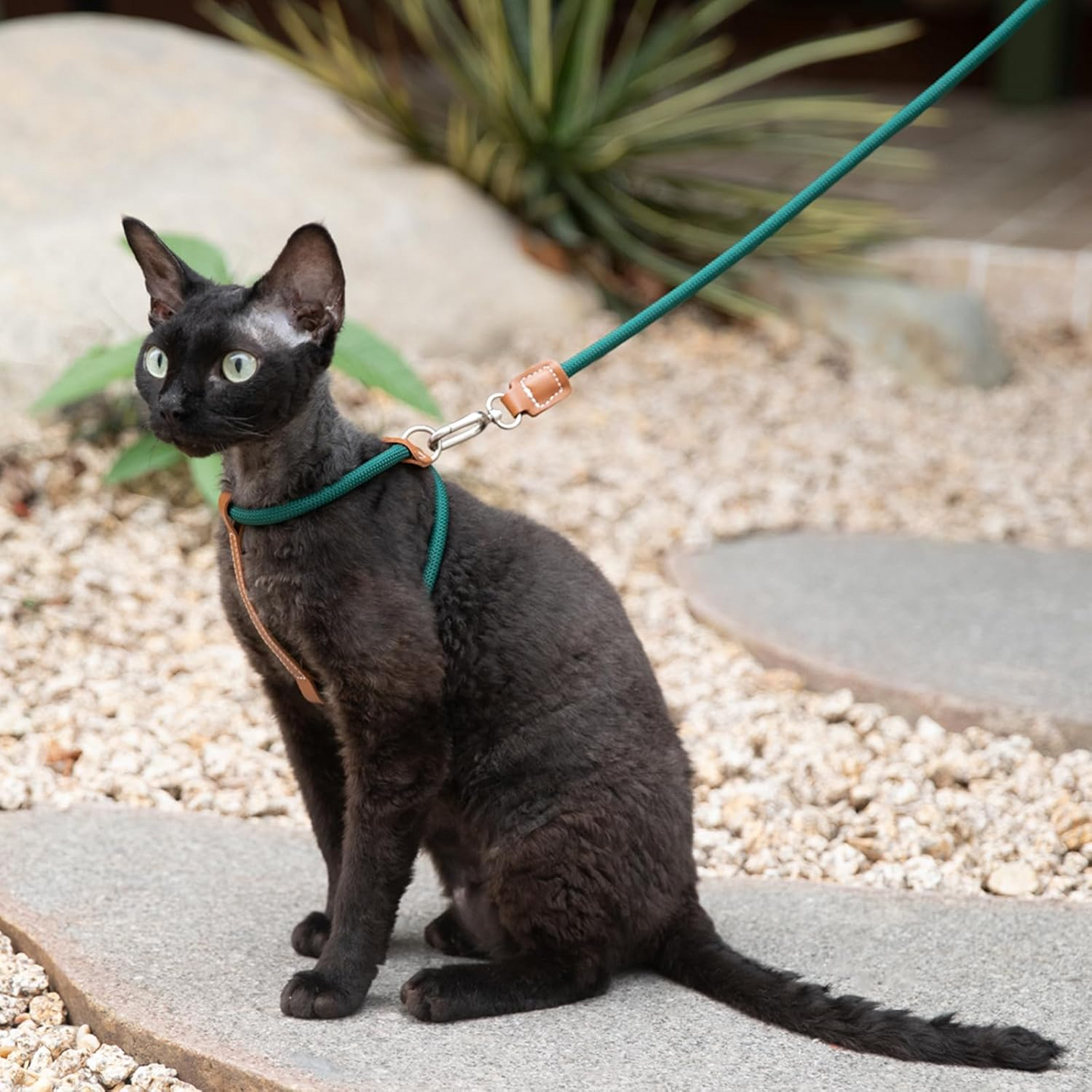 Unlock your indoor cat's natural curiosity with a featherlight, elegant harness that feels like a gentle hug—granting them the freedom to explore while giving you absolute peace of mind.