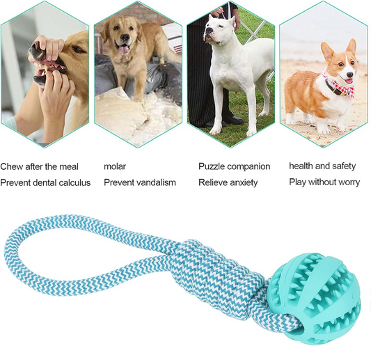 Bonding Through Play: Why Your Smart Pup Deserves More Than Just a Basic Chew
