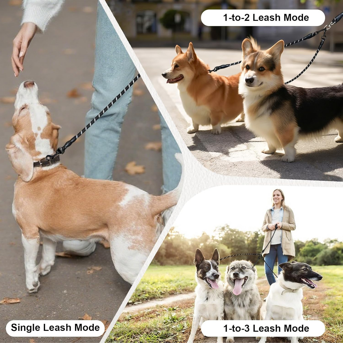 Turn chaotic, tangled multi-dog walks into a perfectly synchronized, effortless stroll—managing your entire pack with just one hand.