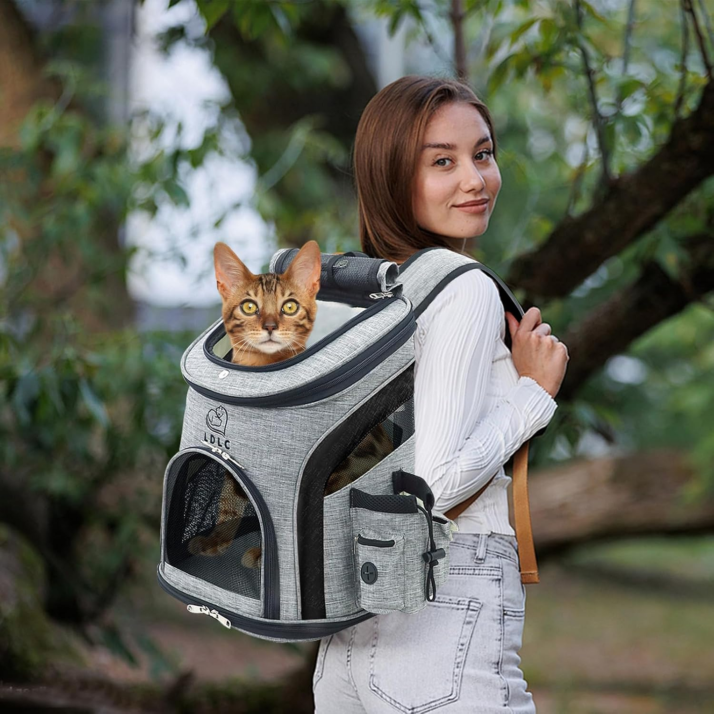 Ride, explore, and commute with total confidence—giving your small companion a breezy, shatter-proof sanctuary closest to your heart.
