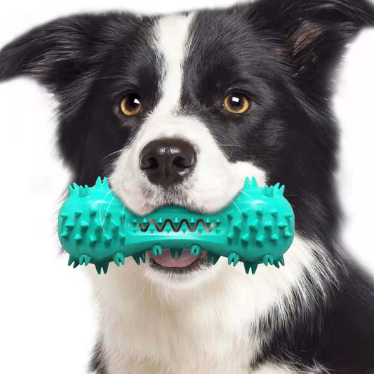 Durable Molar Stick | Rubber Teeth Cleaning Toy for Aggressive Dogs