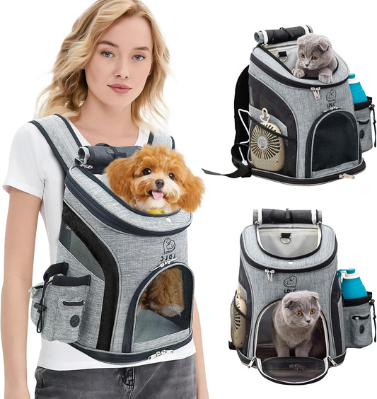 Ride, explore, and commute with total confidence—giving your small companion a breezy, shatter-proof sanctuary closest to your heart.