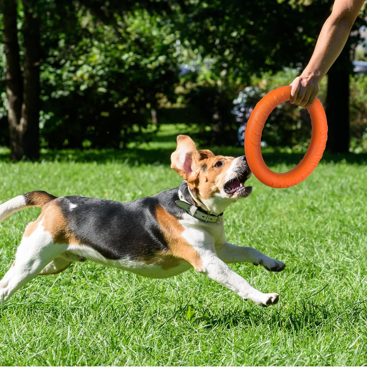 Unstoppable Joy in Every Leap: Why Your High-Energy Hero Deserves the Ultimate Hydro-Flex Flyer