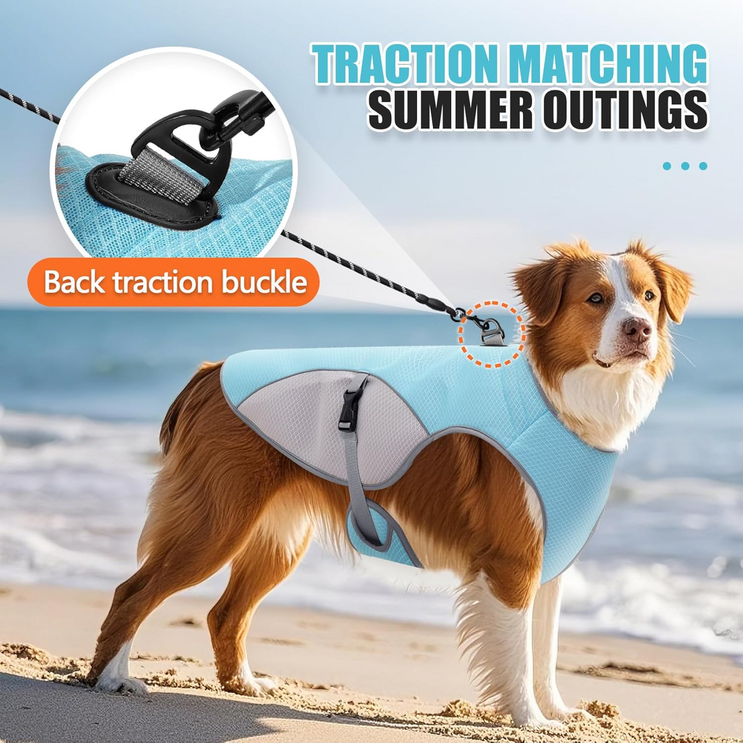 Shield your dog from the blistering summer sun with a featherlight cooling armor, transforming scorching walks into a refreshing backyard breeze.
