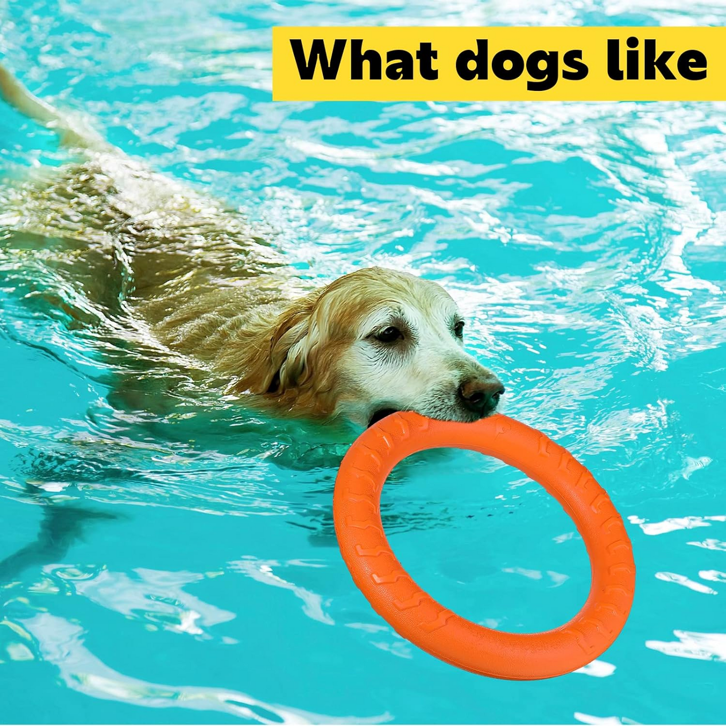 Unstoppable Joy in Every Leap: Why Your High-Energy Hero Deserves the Ultimate Hydro-Flex Flyer