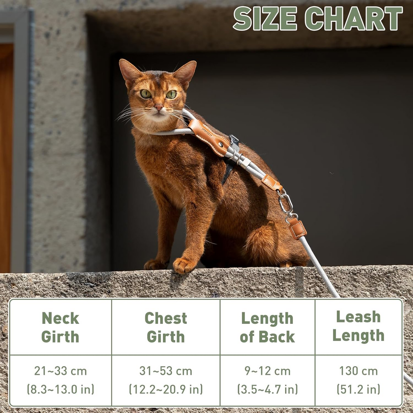 Unlock your indoor cat's natural curiosity with a whisper-light, minimalist harness that fuses absolute escape-proof security with breathtaking modern style.