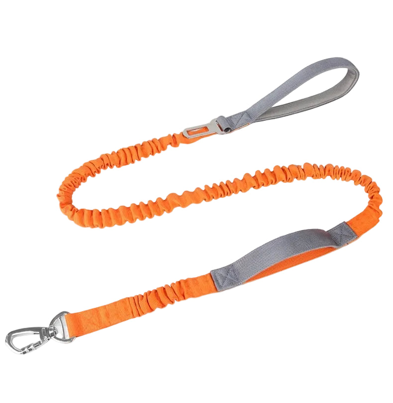 Shock Absorbing Bungee Dog Leash | Reflective "Anti-Burst" Buffer Lead