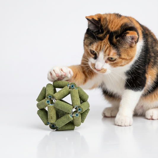 Awaken your cat’s natural vitality with a purely organic, handcrafted chew that transforms dental care into a mindful moment of holistic joy.