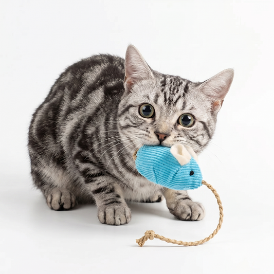 Natural Plush Catnip Mice: Because your daily devotion is measured in the safe, joyous, and mindful moments you create for them.