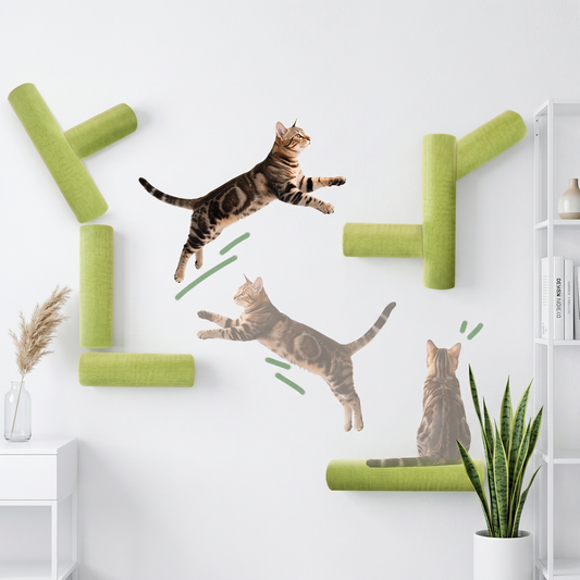 Turn any blank wall into a vertical feline paradise in just three seconds—no tools, no stress, just pure mindful exploration.
