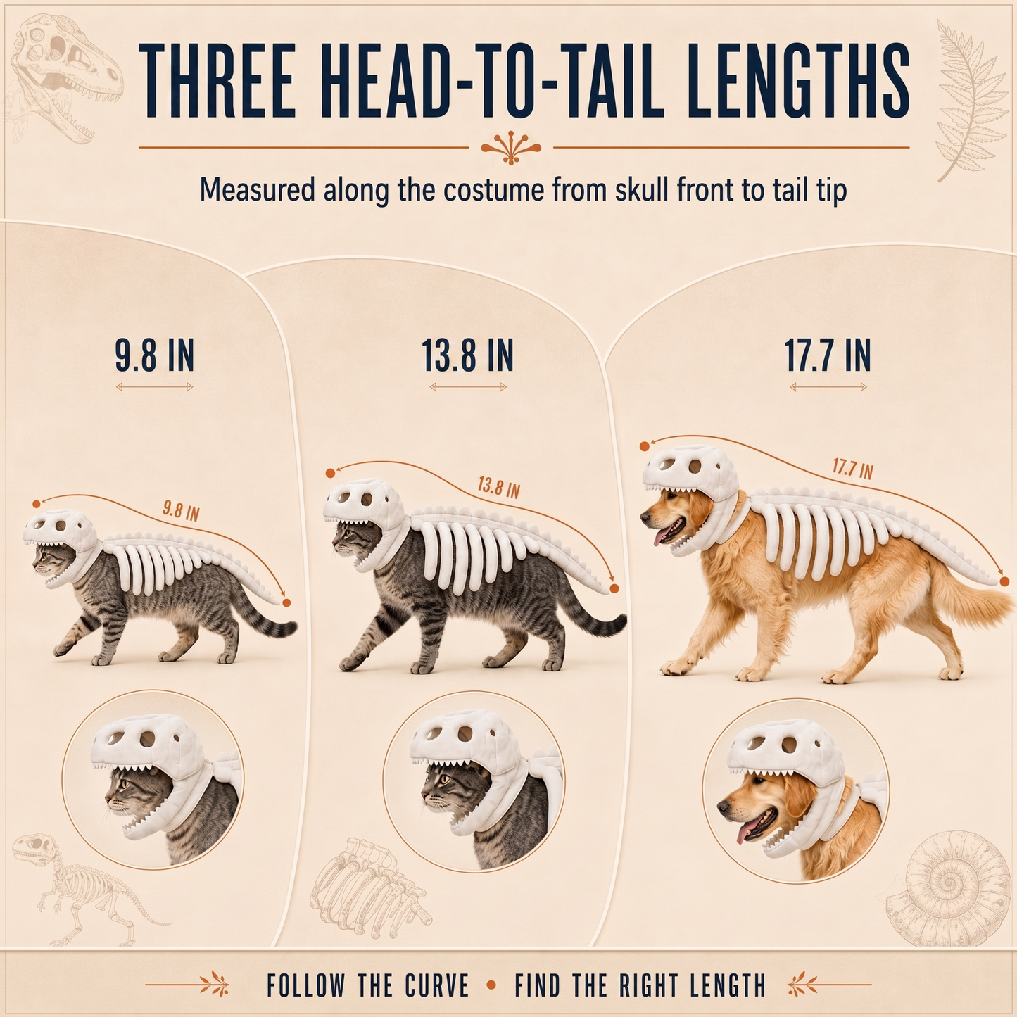 Turn off the lights and unleash a glowing prehistoric legend—giving your small-to-medium pet a show-stopping, ultra-comfortable Halloween look that creates unforgettable memories.