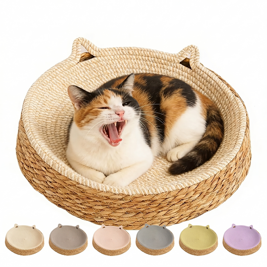 Give your furry best friend a year-round sanctuary for scratching, teething, and snoozing—without ever compromising your home's pristine aesthetic.