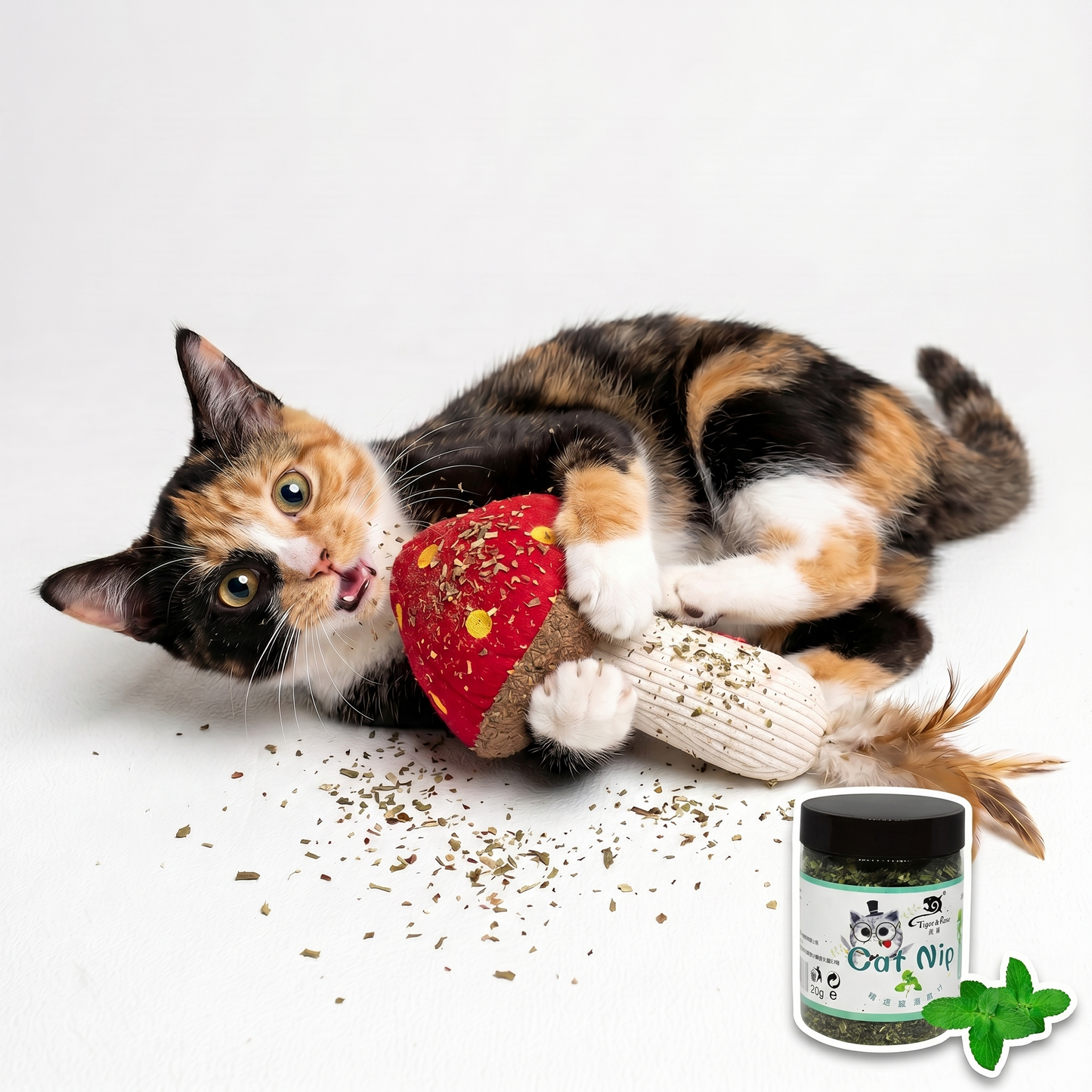 The Ultimate Feline Bliss: Give Your Little Hunter the 100% Organic High They Deserve