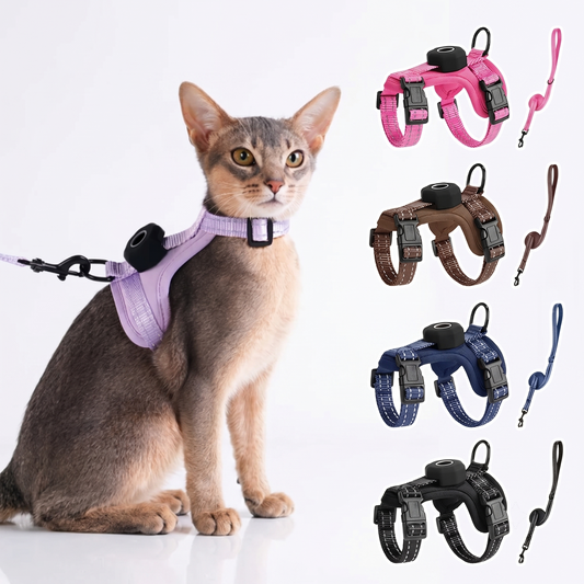 Empower your feline's natural curiosity with unwavering dual-layer safety, ensuring every outdoor exploration feels entirely secure and featherlight.