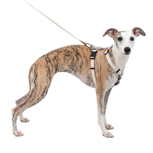 Valley I-Shaped Escape-Proof Harness | Lightweight Anti-Escape Vest