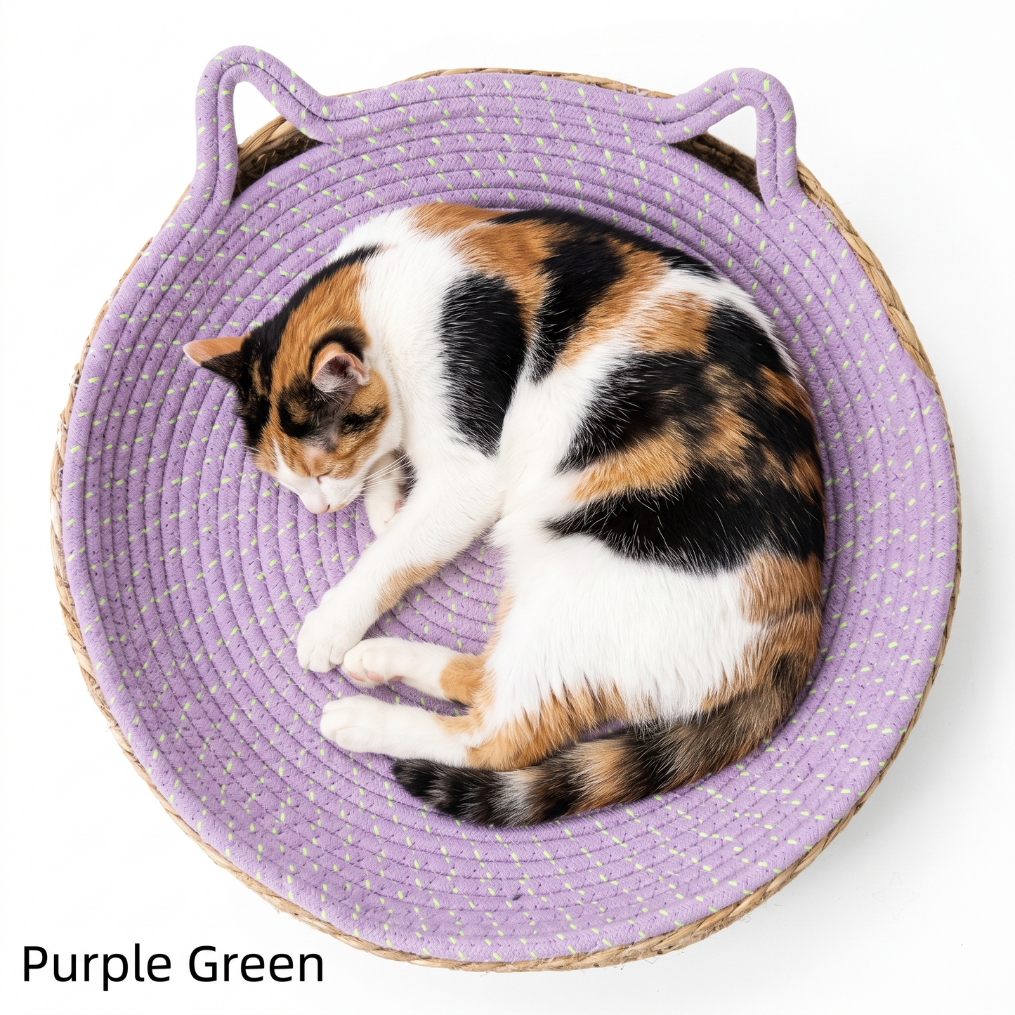 Give your furry best friend a year-round sanctuary for scratching, teething, and snoozing—without ever compromising your home's pristine aesthetic.
