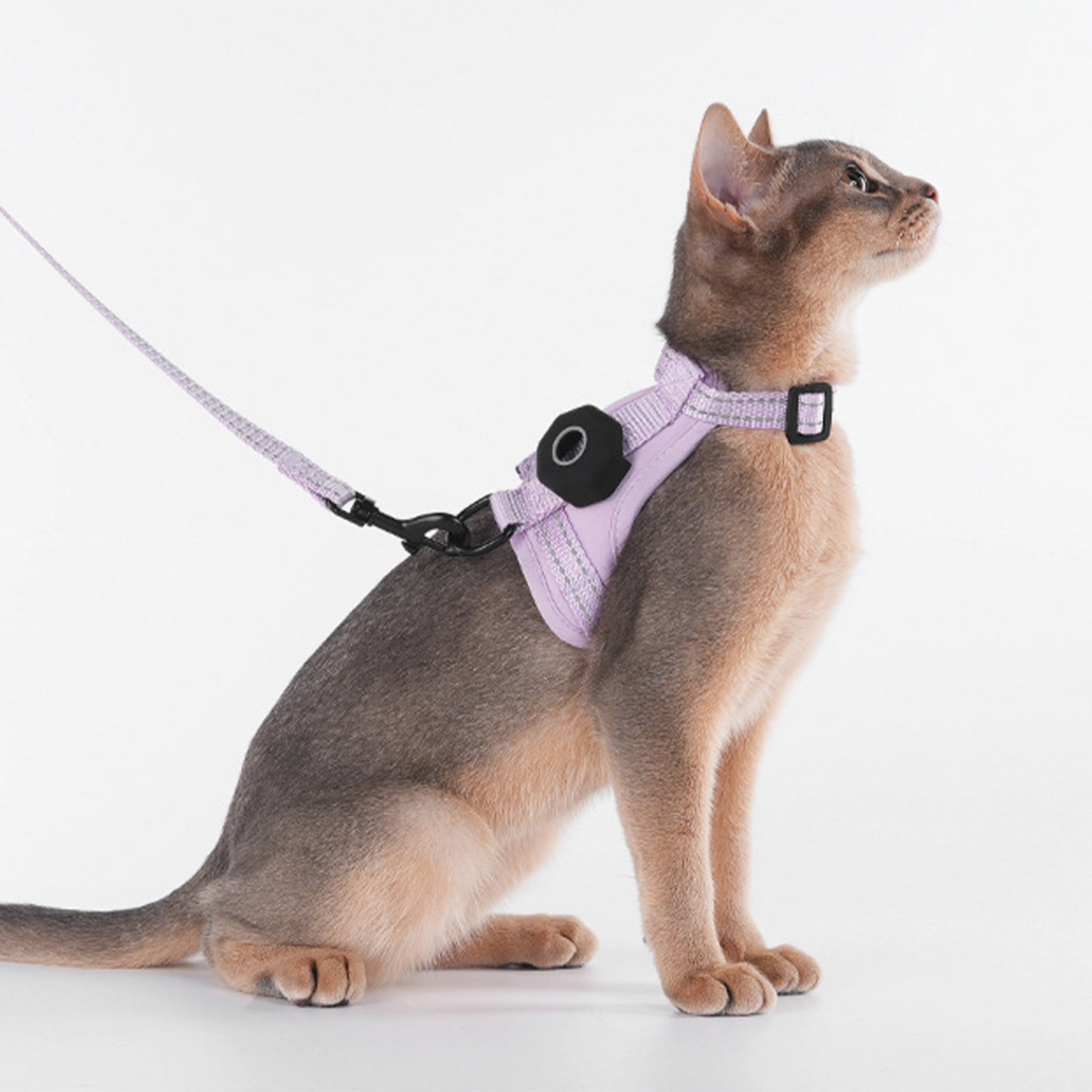 Empower your feline's natural curiosity with unwavering dual-layer safety, ensuring every outdoor exploration feels entirely secure and featherlight.